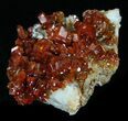 Blood Red Vanadinite Crystals - Morocco #32316-2